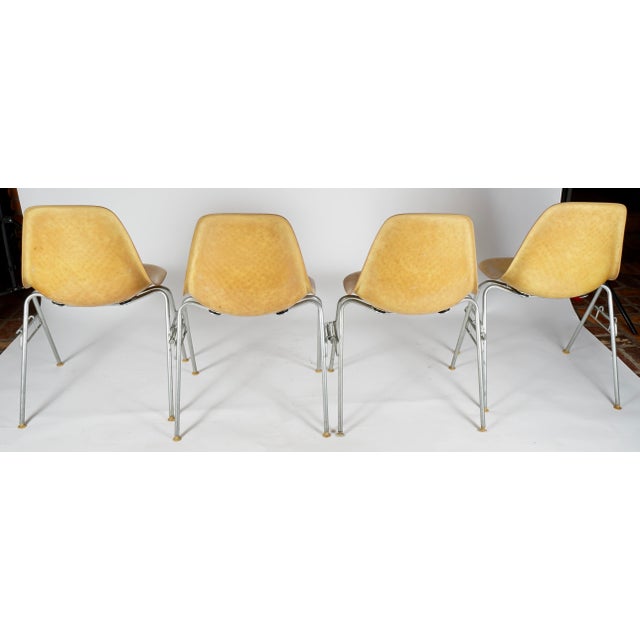 Mid-Century Modern Vintage Eames Fiberglass DSS Stacking Chairs by Charles and Ray Eames for Herman Miller Set of 4 For Sale - Image 3 of 7