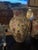 Late 19th Century Pair of 19th Century Decalcomanis Vases For Sale - Image 5 of 12