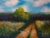 Peaceful landscape painting featuring a rural country lane passing through an open field bordered by woodlands under blue...