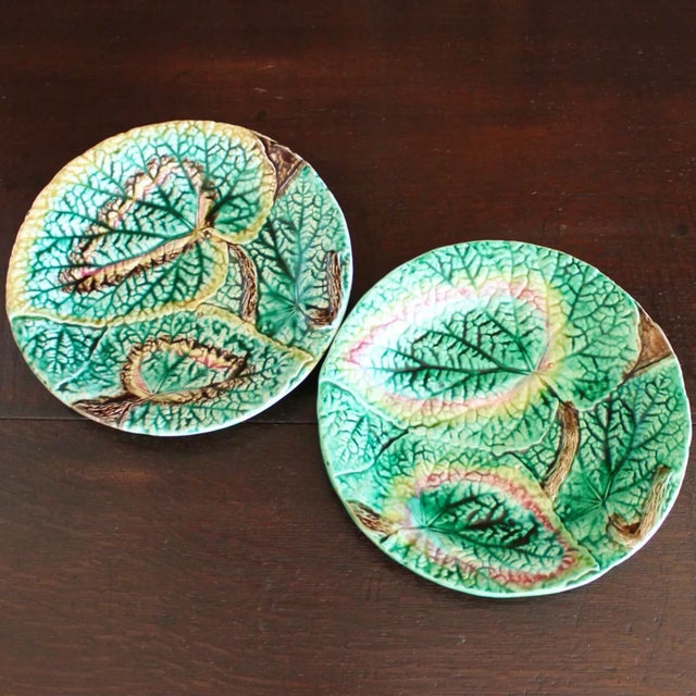 A fine pair of heavily textured and brightly colored English majolica plates, each unique in coloring, with gradations of...