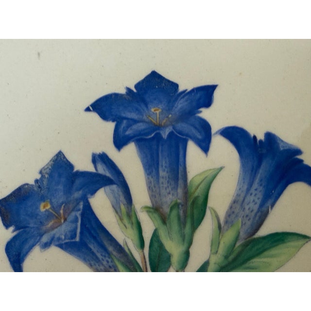 A wonderfully decorative and exceptionally charming set of nine hand-painted botanical ceramic tiles, produced by Somac in...