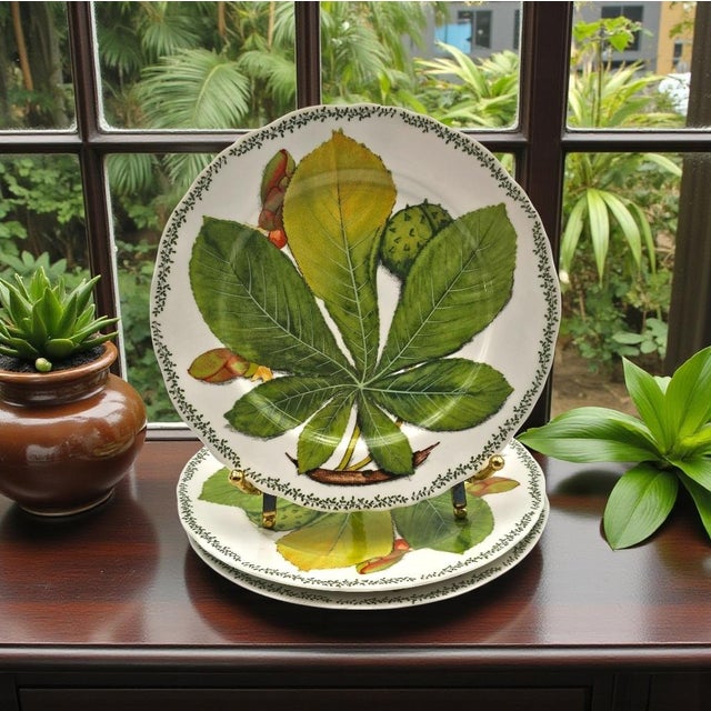 Contemporary Taitù Natura Botanical Bread Plates by Emilio Bergamin, Italy 1992, Set of 3, 6.5" For Sale - Image 3 of 9