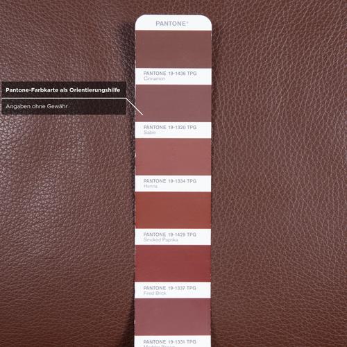 Brown Leather 3300 Two-Seater Sofa from Rolf Benz For Sale - Image 6 of 11