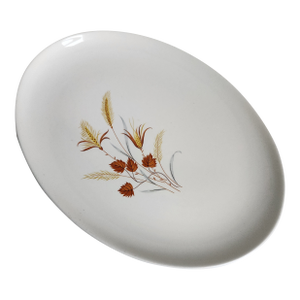 Mid Century Oval Serving Platter Autumn Harvest by Taylor, Smith & Taylor