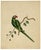 Indian Company School Artist, Indian Bird, 18th Century, Watercolor, Set of 8 For Sale - Image 3 of 18