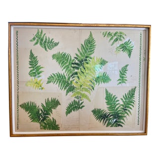 Fern Art Print in Gold Frame by Paule Marrot For Sale