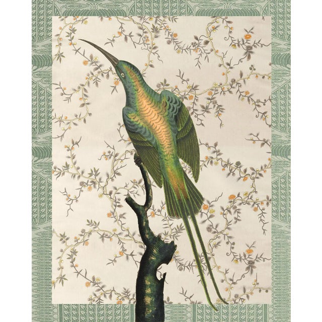 "Hummingbird Floral in Sage Green" Contemporary Bird and Botanical Print For Sale