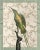 "Hummingbird Floral in Sage Green" Contemporary Bird and Botanical Print For Sale