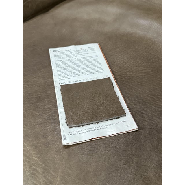 Vintage Swiss DS-47 Chair in Buffalo Leather from De Sede, 1970s For Sale - Image 11 of 12