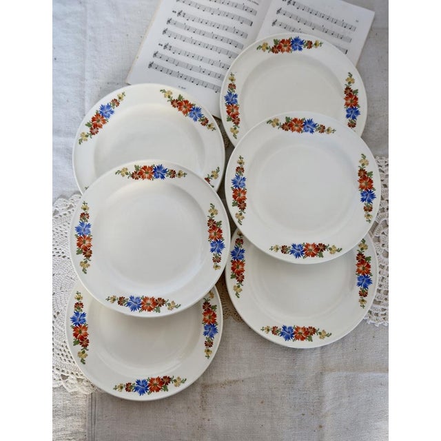 Earthenware Dessert Plates with Polychrome Floral Patterns from Royal Sphinx, Maastricht, Belgium, Set of 6 For Sale - Image 12 of 12