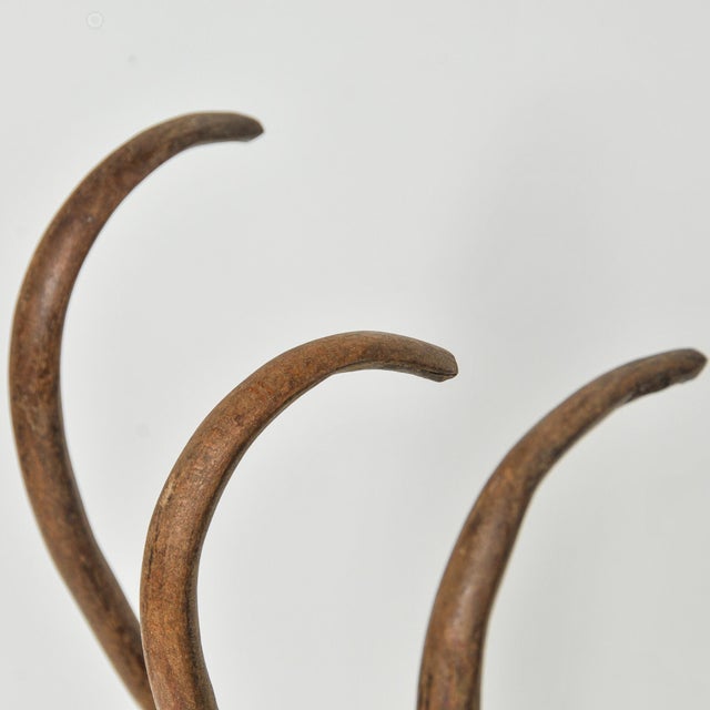 Large Antique Bentwood Coat Rack: Thonet Style Wall Hanging Hat Rack With Four Hooks For Sale - Image 10 of 11