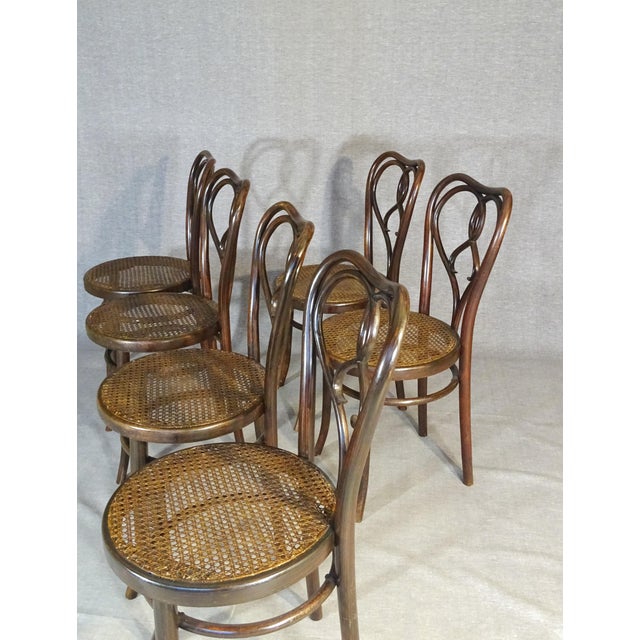 Art Nouveau New York Chairs by Michael Thonet for Gebrüder Thonet, 1925, Set of 6 For Sale - Image 14 of 15