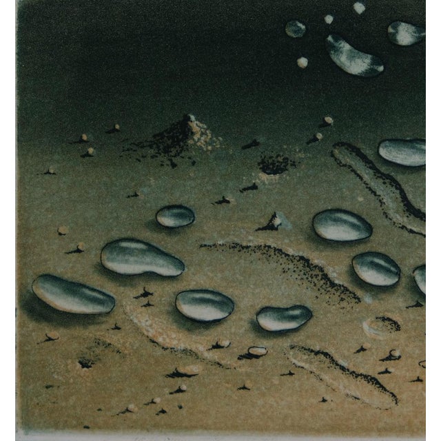 Hiroshi Asada, Zen, Gouttes d'eau sur le sable, Etching For Sale - Image 4 of 8
