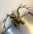 1960s-70s brass deer head wall sculpture/hook. Excellent condition.