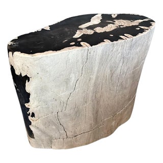 Andrianna Shamaris Striking Ancient Petrified Wood Side Table For Sale