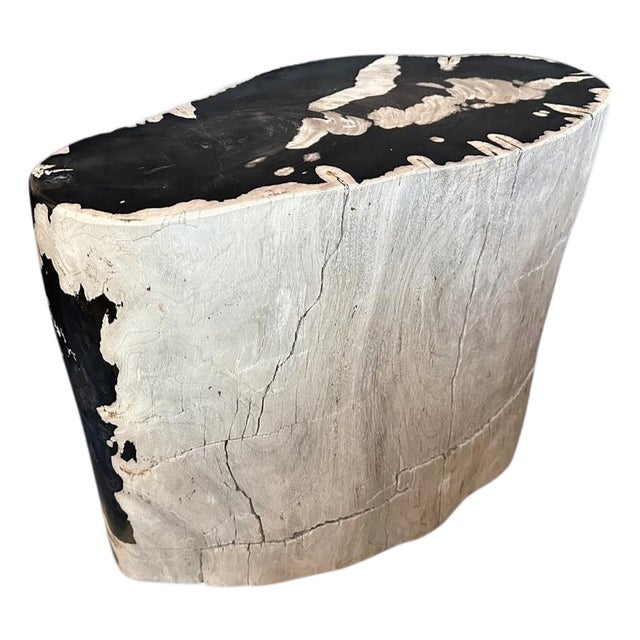 Andrianna Shamaris Striking Ancient Petrified Wood Side Table For Sale