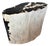 Andrianna Shamaris Striking Ancient Petrified Wood Side Table For Sale