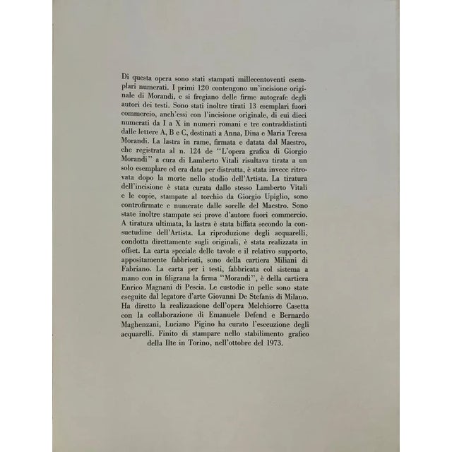 Paper Giorgio Morandi, Still Life, 1963-1973, Lithograph For Sale - Image 7 of 9