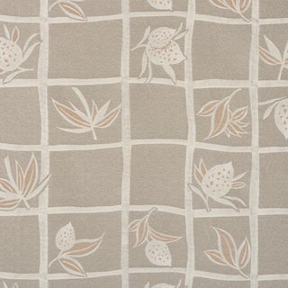 Schumacher High Line Fabric In Nacre For Sale