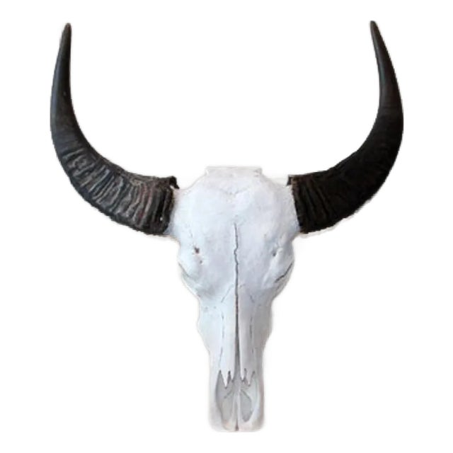 Late 20th Century Water Buffalo Skull, Thailand For Sale