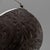 Antique Georgian Silver-Mounted Coconut Cup, 1820s For Sale - Image 9 of 12