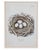 Set of 8 Antique 18th & 19th C Oological Engraving Prints of Eggs & Nests For Sale In Los Angeles - Image 6 of 11