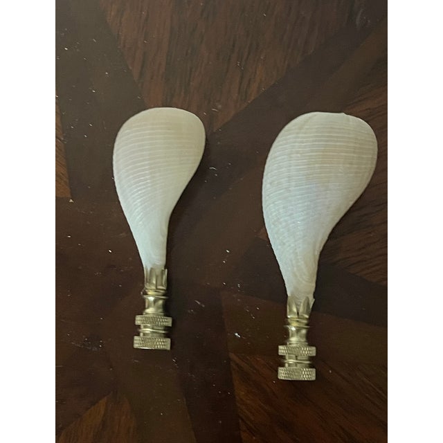 1970s Florida Sea Shells Lamp Finials - a Pair For Sale - Image 4 of 5