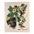 1964 Audubon Folio Lithograph Great Bird Paintings – “Baltimore Oriole” 17x14 For Sale