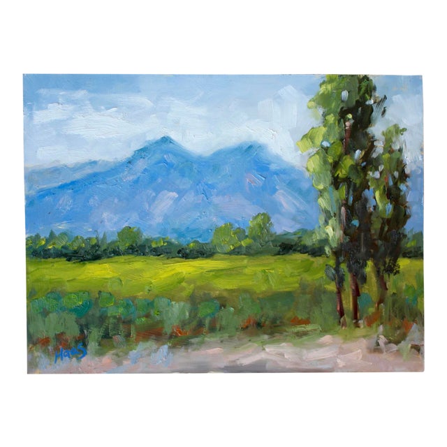 Carson Valley, Contemporary Landscape Oil Painting For Sale