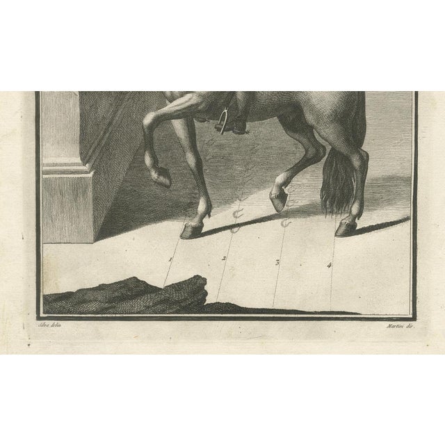 Gaspar Fróis Machado, Dressage and Piaffe, 1790, Engraving, Set of 3 For Sale - Image 14 of 15