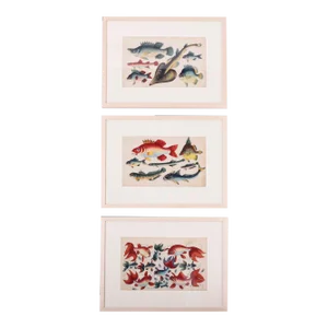 Set of Three Chinese Pith Paintings of Fish