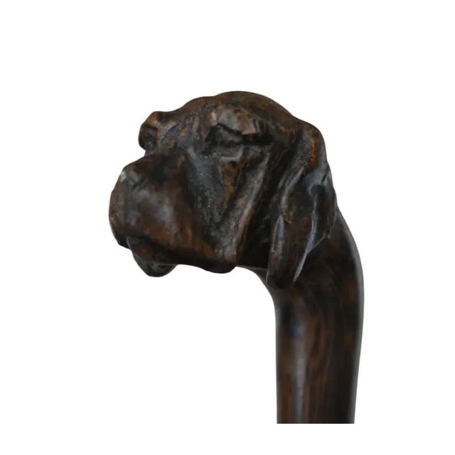 Gold Antique Cane Carved with Dogs Head, 1900 For Sale - Image 8 of 8