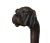 Gold Antique Cane Carved with Dogs Head, 1900 For Sale - Image 8 of 8
