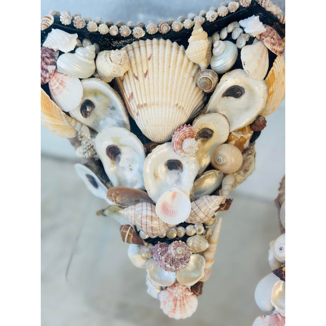 Vintage Shell Brackets, a Pair For Sale In Charleston - Image 6 of 12