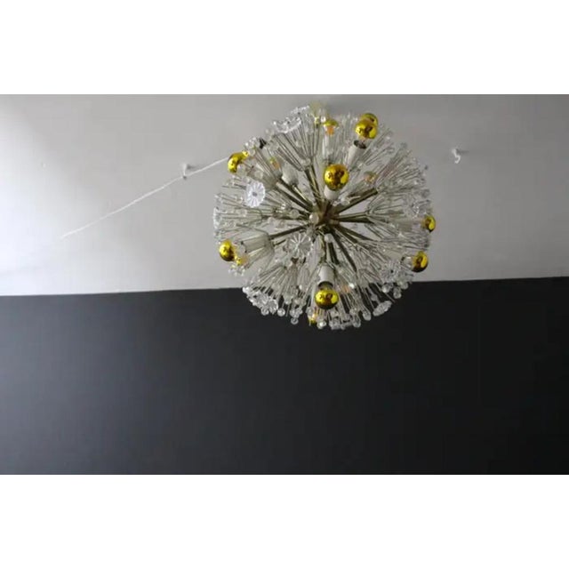 The spectacular luster of Sputnik is combined with an explosion of flowers and is composed of a multitude of flowers with...