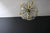 The spectacular luster of Sputnik is combined with an explosion of flowers and is composed of a multitude of flowers with...