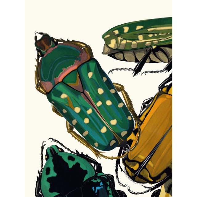 Vintage insect art print reproduction by Emile-Allain Séguy, featuring Art Deco–era beetle illustrations originally...