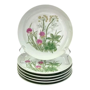 Late 20th Century ‘Herbs & Spices’ Salad Plates by Shafford - Set of 6