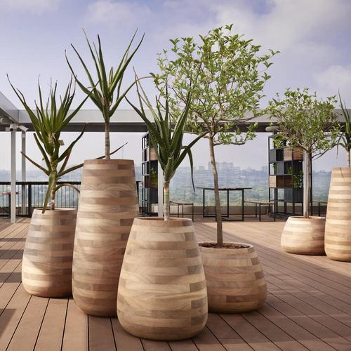 Tuber Planter in Wood by Haldane Martin for Indigenus For Sale - Image 16 of 16