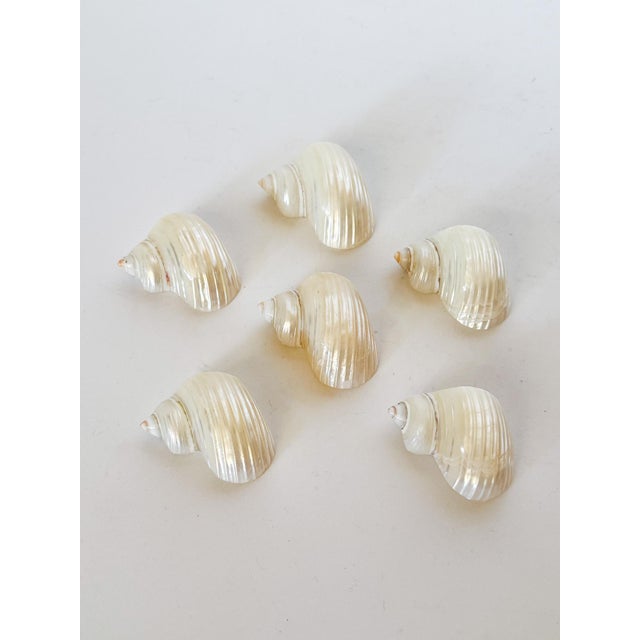 Nautical Vintage Pearl Shell Napkin Rings, Set of 6 For Sale - Image 3 of 7