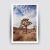 This shot from Mark Frohman's 'American West' series captures the spiritual landscape of Joshua Tree National Park....