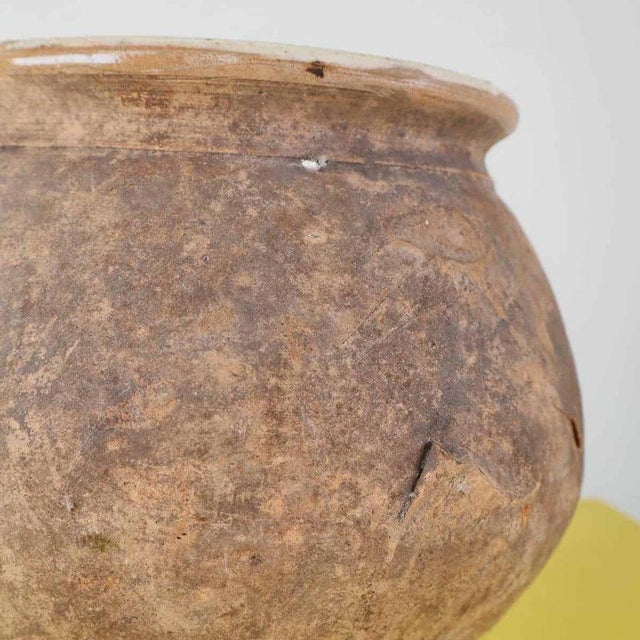 Amphora Vase in Glazed Terracotta Inside For Sale - Image 5 of 9