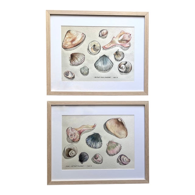 "Nantucket Shells" Watercolor Prints-Custom Framed, Signed-1991 For Sale