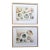 "Nantucket Shells" Watercolor Prints-Custom Framed, Signed-1991 For Sale
