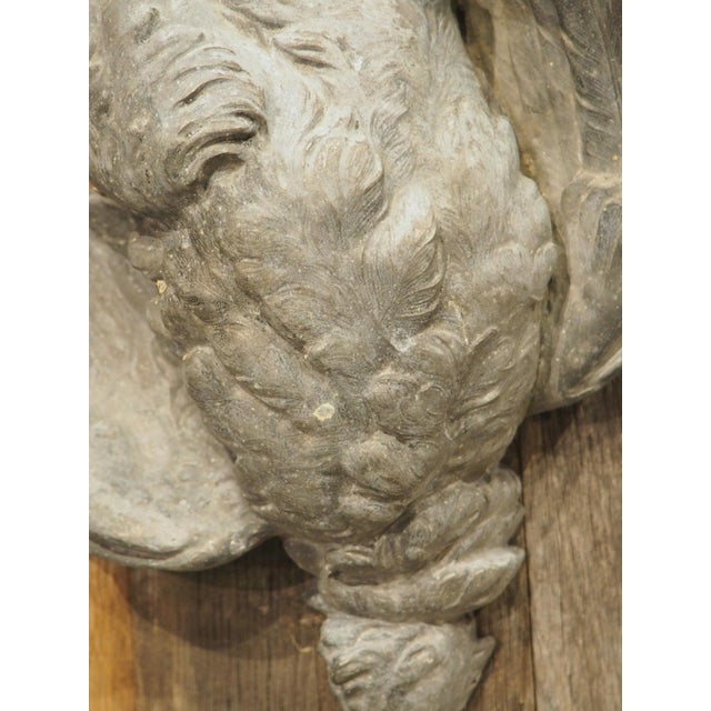 Pair of Circa 1890 Weathered French Hunt Trophies on Natural Oak Oval Panels For Sale - Image 11 of 18