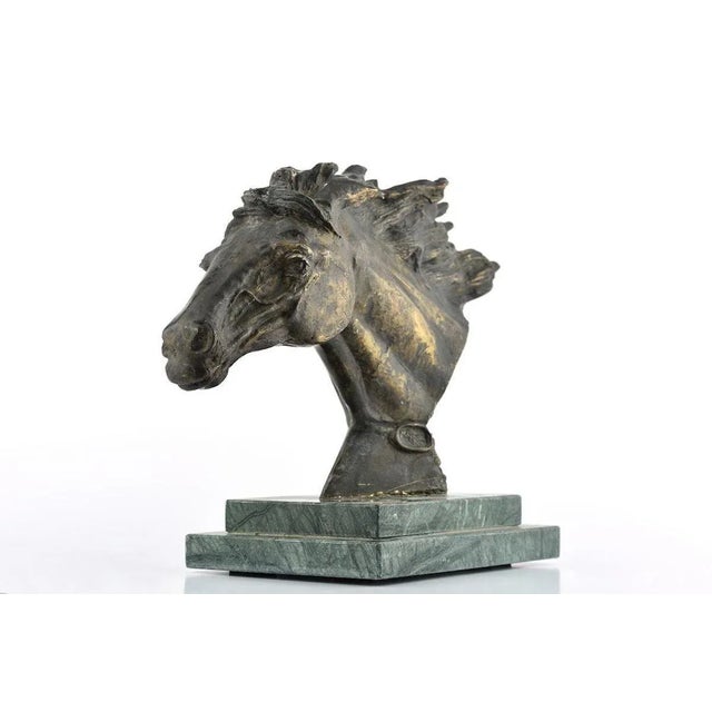 This Horse Bust - Sculpture is an original artwork realized by the Italian artist Domenico Mazzone (Rutigliano, Bari,...