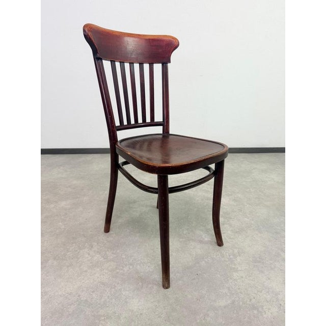 Wood Vintage Bentwood Dining Chairs from Thonet, 1920s, Set of 10 For Sale - Image 7 of 14