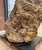 Stone Large Petrified Coral Sculpture by Xyleia Petrified Wood For Sale - Image 7 of 9
