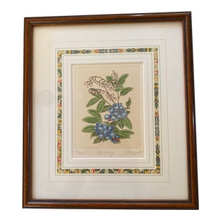 Framed Anne Stromquist Botanical Etching, Blueberries For Sale