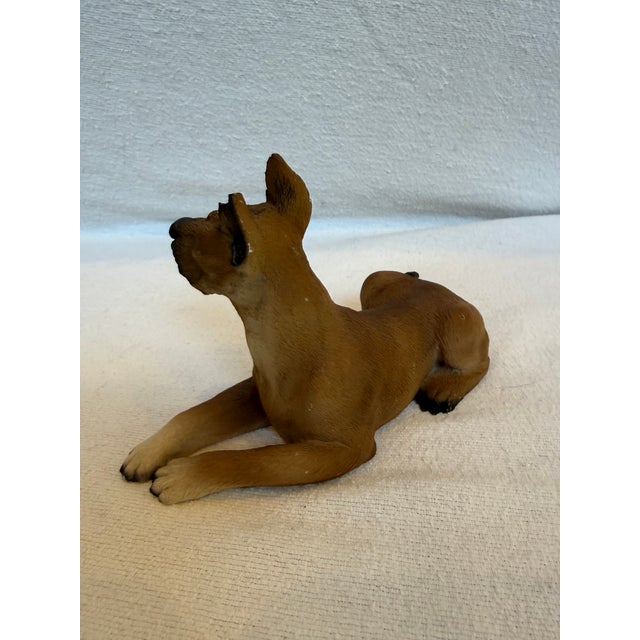 Italian Ceramic Lifelike Great Dane For Sale - Image 3 of 12